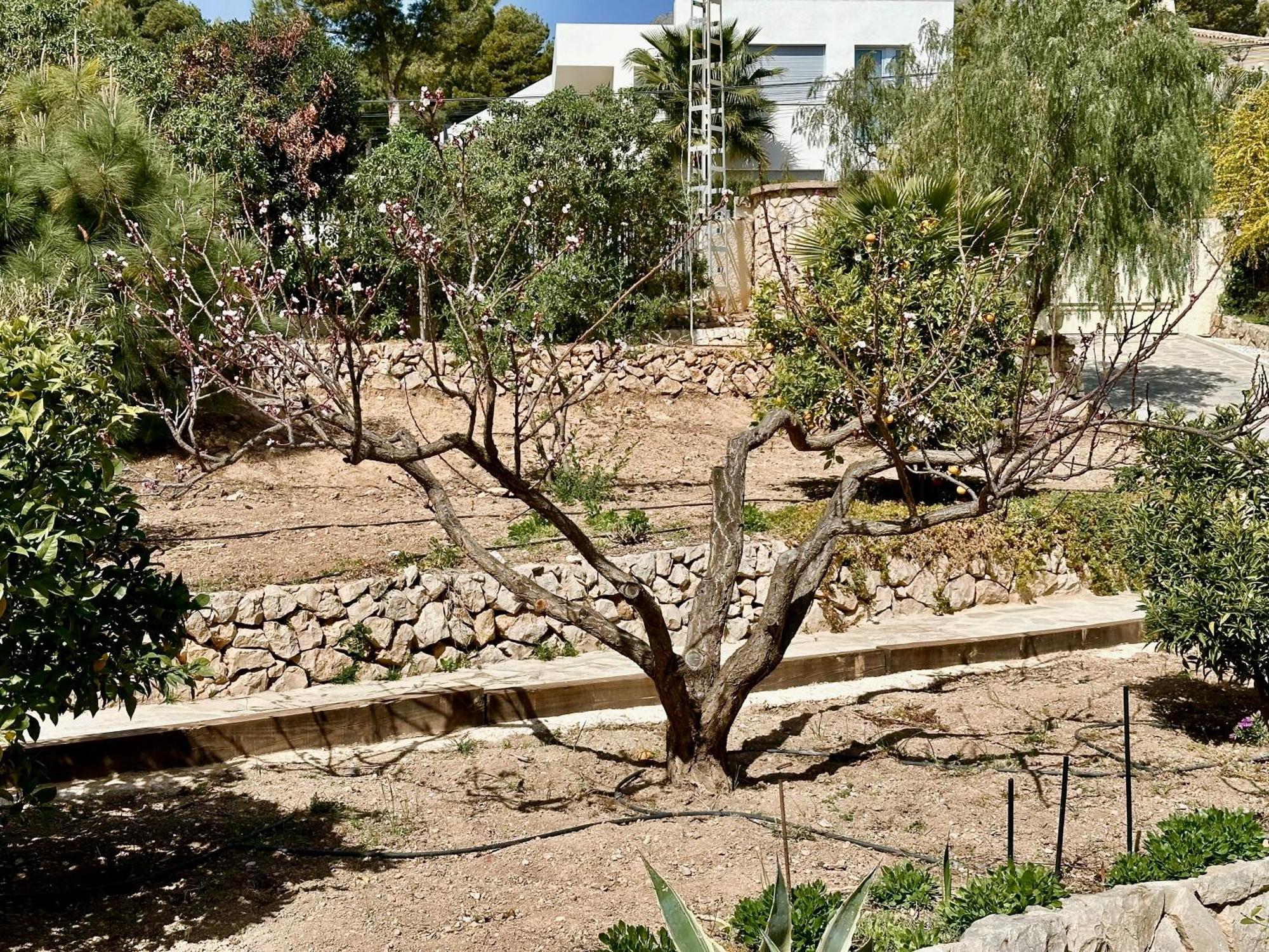 Casa Puput Villa Altea Exterior photo